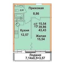 ЖК Олимп 1 комнатная 43.43м2